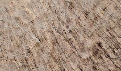 Photo #42 of Off of Greens Chapel Lane, Dungannon, VA 60.5 acres