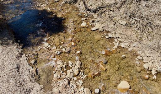 Photo #47 of Off of Greens Chapel Lane, Dungannon, VA 60.5 acres