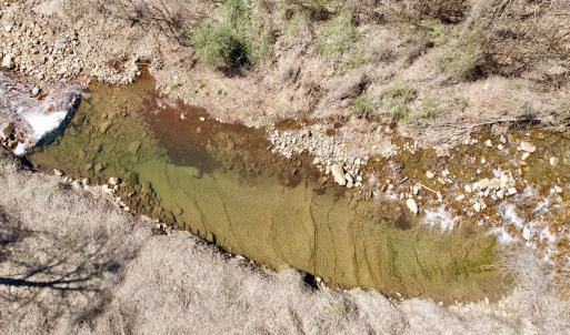 Photo #50 of Off of Greens Chapel Lane, Dungannon, VA 60.5 acres