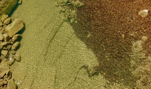 Photo #51 of Off of Greens Chapel Lane, Dungannon, VA 60.5 acres