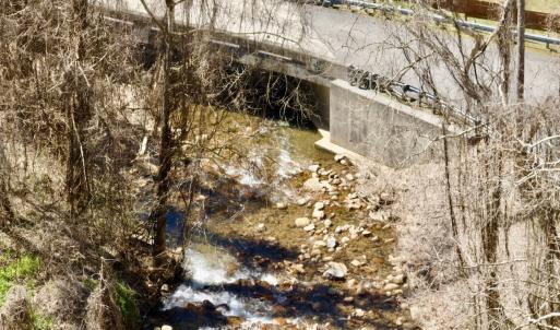 Photo #55 of Off of Greens Chapel Lane, Dungannon, VA 60.5 acres