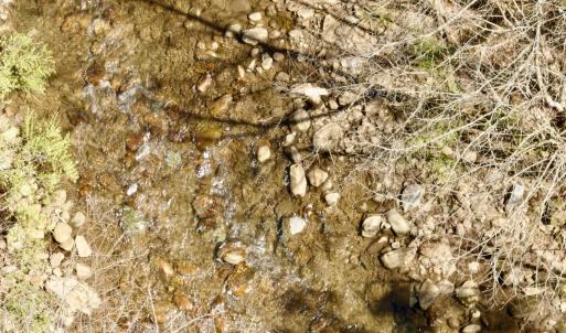 Photo #57 of Off of Greens Chapel Lane, Dungannon, VA 60.5 acres