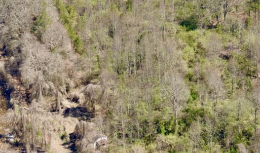 Photo #58 of Off of Greens Chapel Lane, Dungannon, VA 60.5 acres