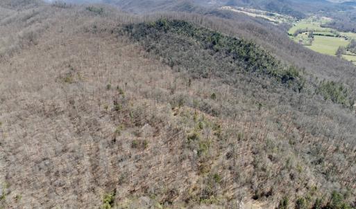 Photo #59 of Off of Greens Chapel Lane, Dungannon, VA 60.5 acres
