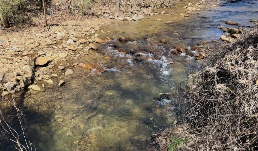 Photo #63 of Off of Greens Chapel Lane, Dungannon, VA 60.5 acres