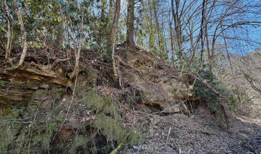 Photo #64 of Off of Greens Chapel Lane, Dungannon, VA 60.5 acres