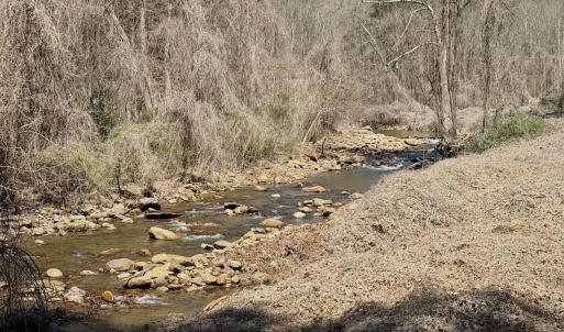 Photo #65 of Off of Greens Chapel Lane, Dungannon, VA 60.5 acres