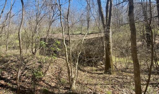 Photo #69 of Off of Greens Chapel Lane, Dungannon, VA 60.5 acres