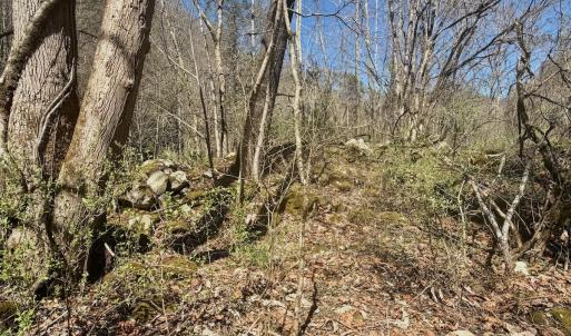 Photo #70 of Off of Greens Chapel Lane, Dungannon, VA 60.5 acres