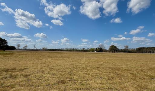 Photo #10 of  Off of Black Mingle Road, Gates, NC 82.0 acres
