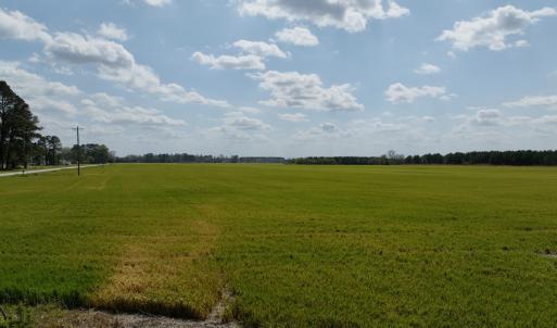 Photo #13 of  Off of Black Mingle Road, Gates, NC 82.0 acres