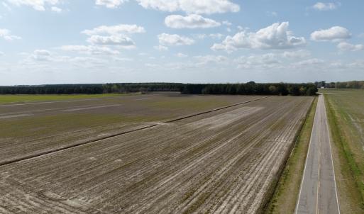 Photo #14 of  Off of Black Mingle Road, Gates, NC 82.0 acres
