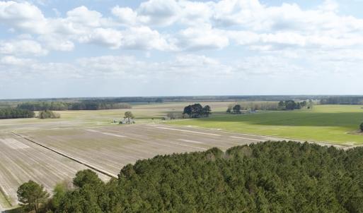 Photo #16 of  Off of Black Mingle Road, Gates, NC 82.0 acres