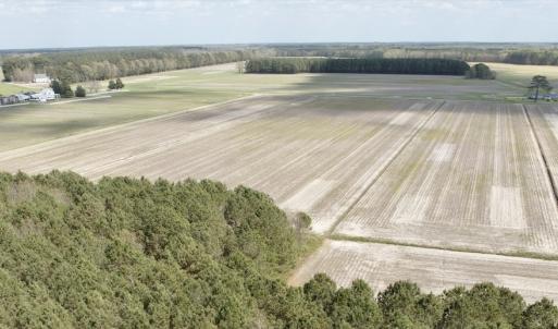 Photo #18 of  Off of Black Mingle Road, Gates, NC 82.0 acres