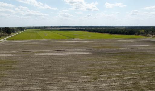 Photo #1 of  Off of Black Mingle Road, Gates, NC 82.0 acres