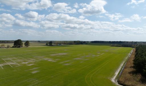 Photo #2 of  Off of Black Mingle Road, Gates, NC 82.0 acres