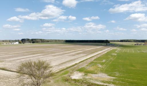 Photo #3 of  Off of Black Mingle Road, Gates, NC 82.0 acres