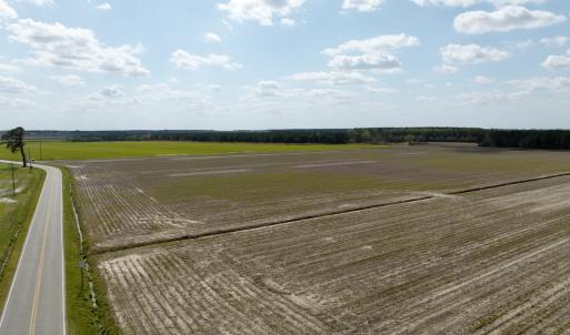 Photo #6 of  Off of Black Mingle Road, Gates, NC 82.0 acres