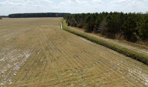 Photo #7 of  Off of Black Mingle Road, Gates, NC 82.0 acres