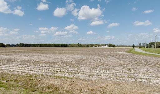 Photo #8 of  Off of Black Mingle Road, Gates, NC 82.0 acres