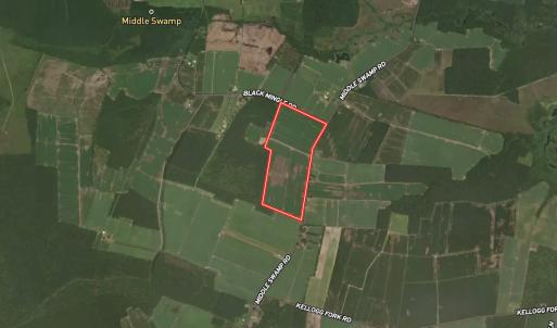Photo #21 of  Off of Black Mingle Road, Gates, NC 82.0 acres