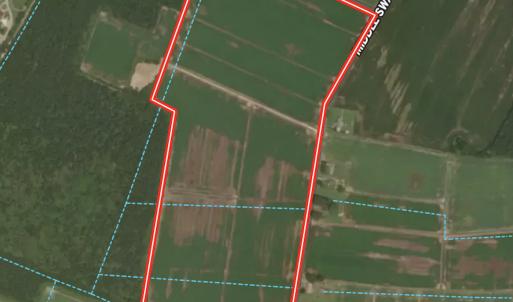 Photo #19 of  Off of Black Mingle Road, Gates, NC 82.0 acres