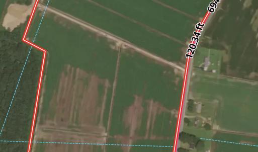 Photo #20 of  Off of Black Mingle Road, Gates, NC 82.0 acres