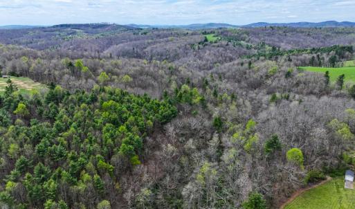 Photo #2 of 311 Dan River Rd, Meadows of Dan, VA 116.3 acres