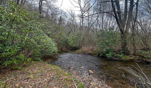 Photo #4 of 311 Dan River Rd, Meadows of Dan, VA 116.3 acres