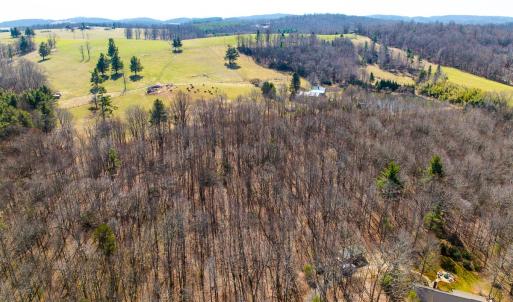 Photo #23 of 311 Dan River Rd, Meadows of Dan, VA 116.3 acres