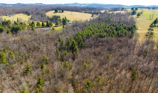 Photo #25 of 311 Dan River Rd, Meadows of Dan, VA 116.3 acres