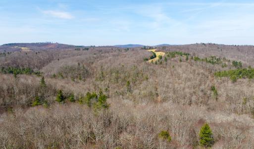 Photo #26 of 311 Dan River Rd, Meadows of Dan, VA 116.3 acres