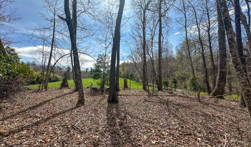 Photo #33 of 311 Dan River Rd, Meadows of Dan, VA 116.3 acres
