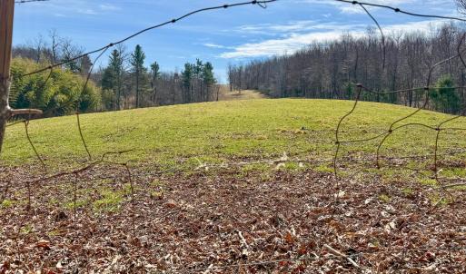 Photo #34 of 311 Dan River Rd, Meadows of Dan, VA 116.3 acres
