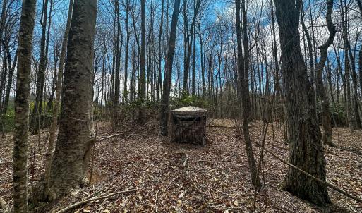 Photo #35 of 311 Dan River Rd, Meadows of Dan, VA 116.3 acres
