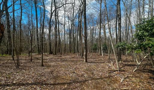 Photo #36 of 311 Dan River Rd, Meadows of Dan, VA 116.3 acres