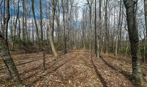Photo #37 of 311 Dan River Rd, Meadows of Dan, VA 116.3 acres