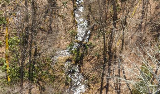 Photo #38 of 311 Dan River Rd, Meadows of Dan, VA 116.3 acres