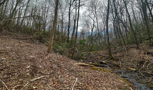 Photo #39 of 311 Dan River Rd, Meadows of Dan, VA 116.3 acres