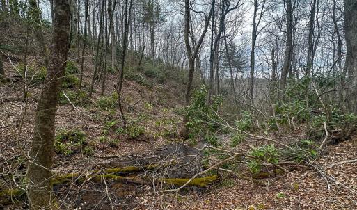 Photo #40 of 311 Dan River Rd, Meadows of Dan, VA 116.3 acres