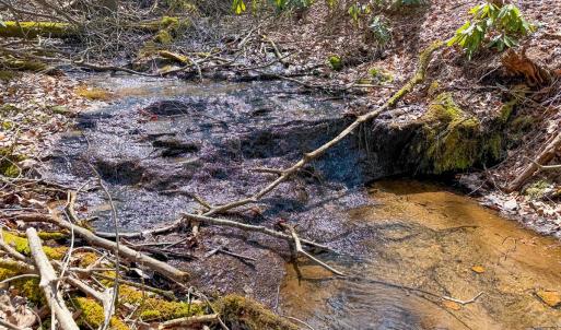 Photo #41 of 311 Dan River Rd, Meadows of Dan, VA 116.3 acres