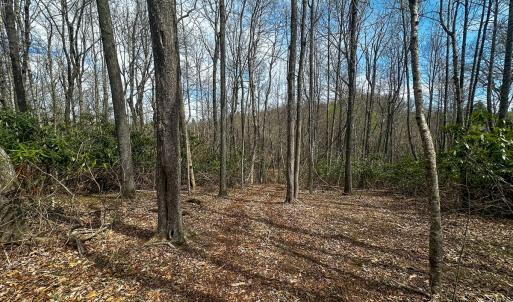 Photo #48 of 311 Dan River Rd, Meadows of Dan, VA 116.3 acres