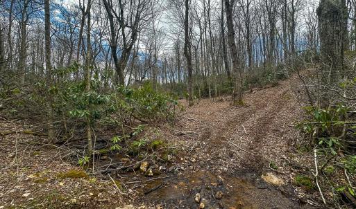 Photo #49 of 311 Dan River Rd, Meadows of Dan, VA 116.3 acres