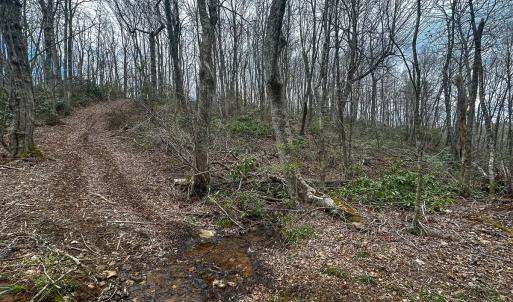 Photo #50 of 311 Dan River Rd, Meadows of Dan, VA 116.3 acres
