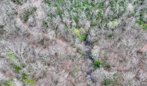 Photo #55 of 311 Dan River Rd, Meadows of Dan, VA 116.3 acres