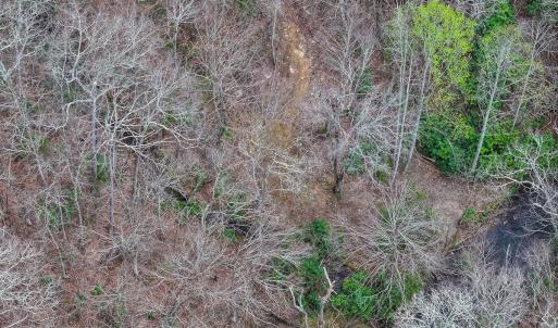 Photo #56 of 311 Dan River Rd, Meadows of Dan, VA 116.3 acres