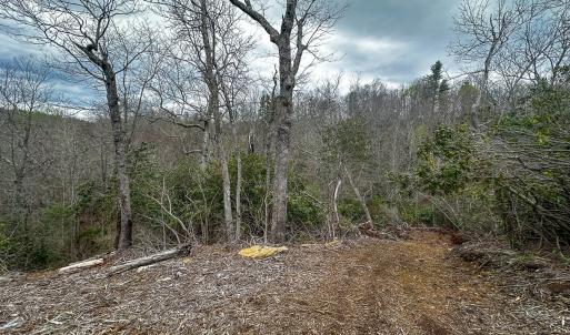 Photo #57 of 311 Dan River Rd, Meadows of Dan, VA 116.3 acres