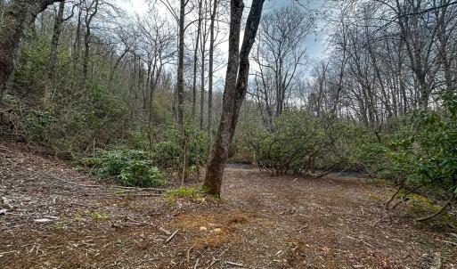 Photo #58 of 311 Dan River Rd, Meadows of Dan, VA 116.3 acres
