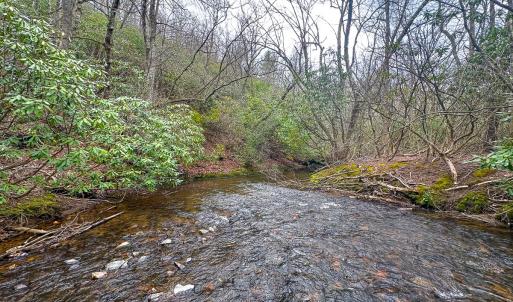 Photo #59 of 311 Dan River Rd, Meadows of Dan, VA 116.3 acres