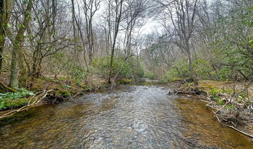 Photo #60 of 311 Dan River Rd, Meadows of Dan, VA 116.3 acres